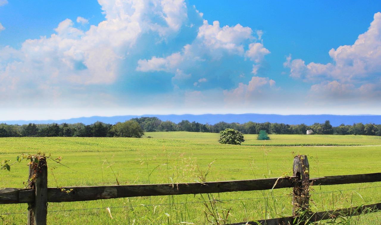 Shenandoah Telecommunications Company Completes Fiber-to-the-Home Upgrade in Buchanan, Virginia - Quiver Quantitative